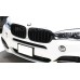 Search - x5 kidney grill