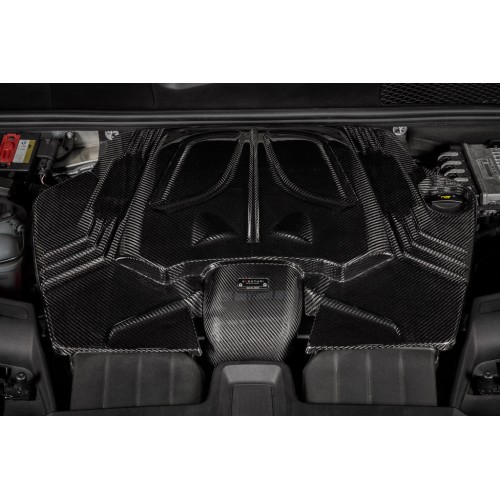 Eventuri Intakes