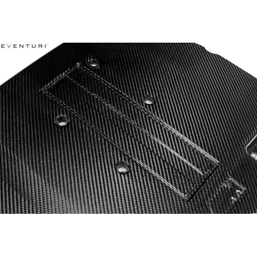 Eventuri Intakes