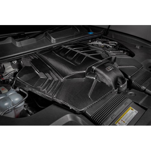 Eventuri Intakes