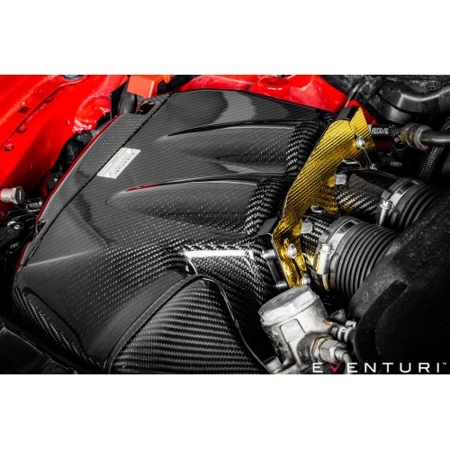 Eventuri Intakes