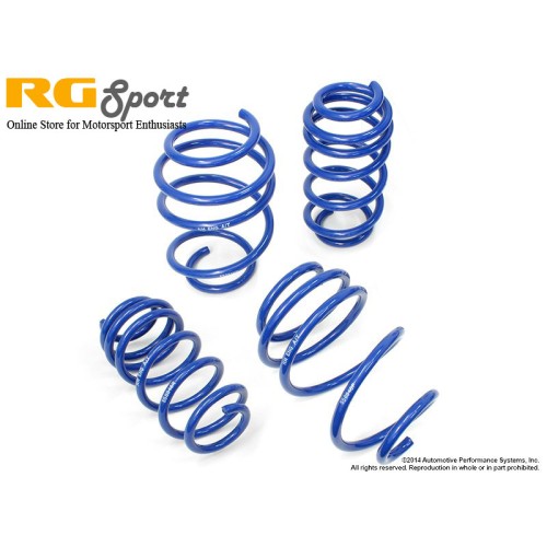 NM Eng RS Alpha Spring Kit (P/N: NM.558846)