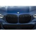 BMW M Performance Front Grille - G05 X5