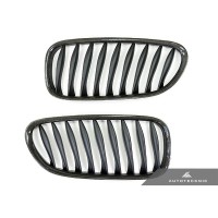 AutoTecknic Replacement Carbon Fiber Front Grilles - E85 Coupe / E86 Cabrio | Z4 Series including Z4M